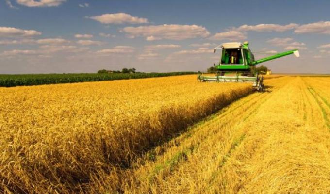 Луганщина знову зібрала рекордний врожай зернових Луганщина знову зібрала рекордний врожай зернових