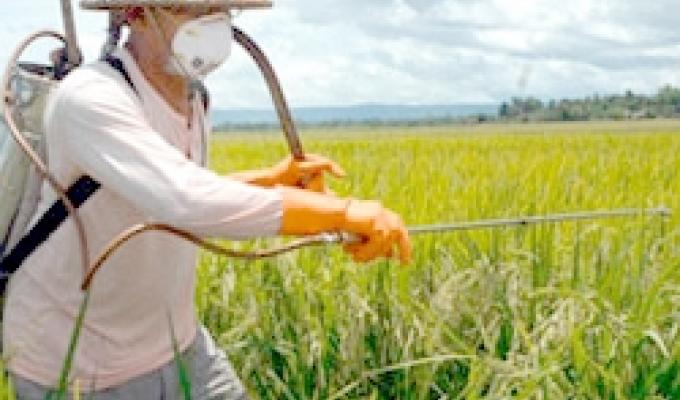 Правила зберігання, видачі, транспортування та застосування пестицидів і агрохімікатів Правила зберігання, видачі, транспортування та застосування пестицидів і агрохімікатів