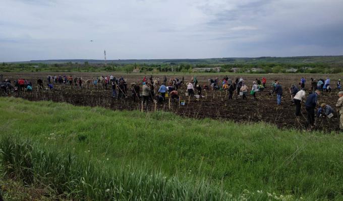 На Сватівщини з’явилися два «Львівські гаї» На Сватівщини з’явилися два «Львівські гаї»