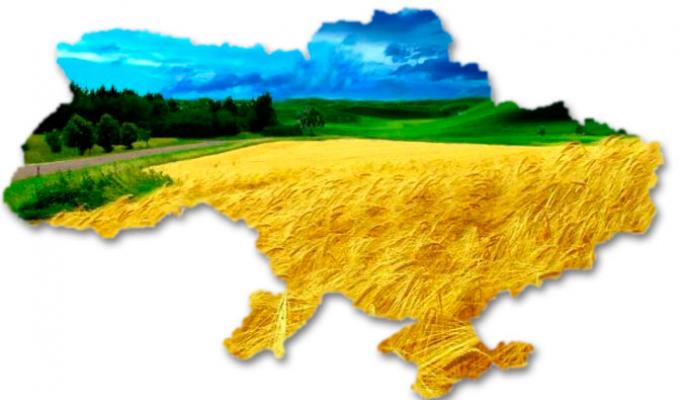 Особливості поновлення договорів оренди землі на новий термін Особливості поновлення договорів оренди землі на новий термін