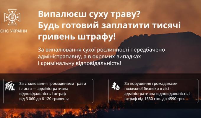 Випалюєш сухостій – будь готовий заплатити тисячі гривень штрафу! Випалюєш сухостій – будь готовий заплатити тисячі гривень штрафу!