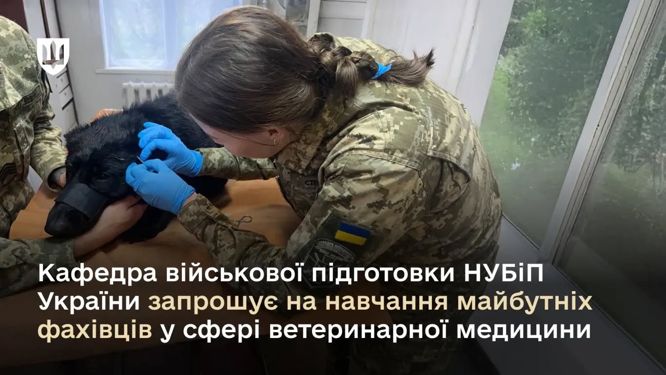 Вступна кампанія-2025: Кафедра військової підготовки НУБіП України запрошує на навчання майбутніх фахівців у сфері ветеринарної медицини