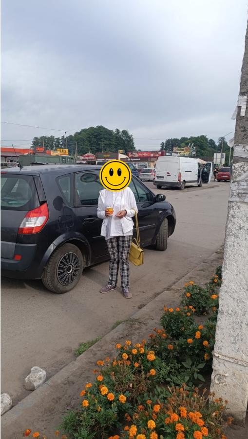 Друга евакуація мешканки Красноріченської громади