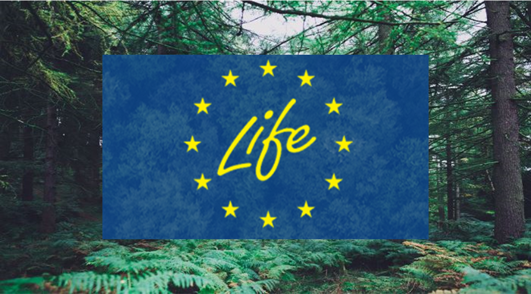 Європейська екологічна ініціатива відкриває нові можливості для України