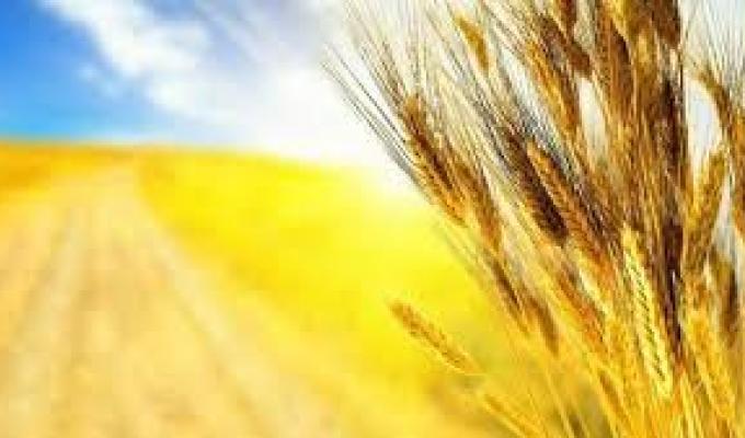 Запрошуємо відсвяткувати державні свята!