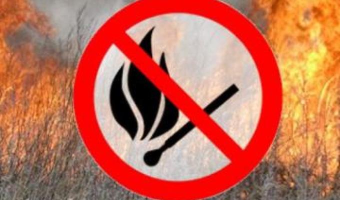 Закликаємо не спалювати суху рослинність! Закликаємо не спалювати суху рослинність!