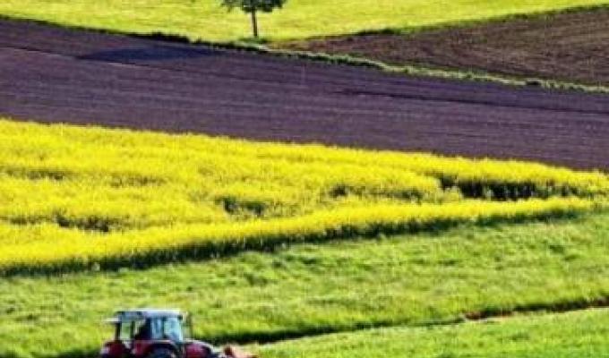 Щодо обміну земельними ділянками сільськогосподарського призначення Щодо обміну земельними ділянками сільськогосподарського призначення
