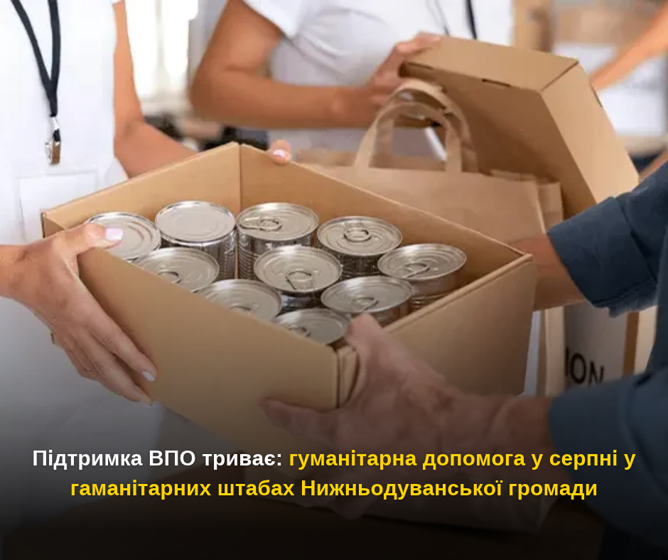 Підтримка ВПО триває: гуманітарна допомога у серпні у гаманітарних штабах Нижньодуванської громади