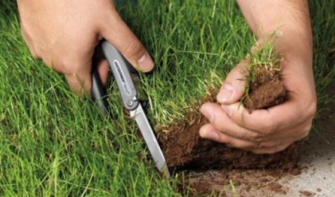 Відповідальність за самовільне зайняття земельної ділянки Відповідальність за самовільне зайняття земельної ділянки