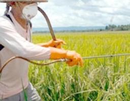 Правила зберігання, видачі, транспортування та застосування пестицидів і агрохімікатів