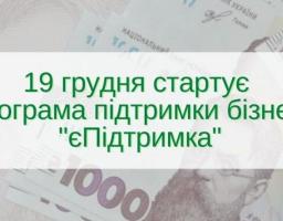 В Україні стартує  Програма цільового фінансування вразливих категорій бізнесу під час карантину «єПідтримка»