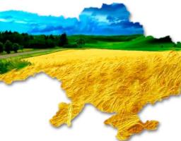Особливості поновлення договорів оренди землі на новий термін