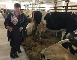 Сватівський район визнано кращим районом Луганської області з виробництва продукції тваринництва 