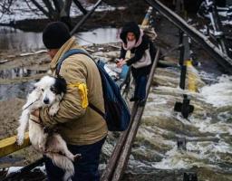 Documenting Ukraine: конкурс грантів для документування війни в Україні
