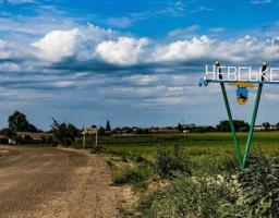 Окупанти били з артилерії по с. Невське!