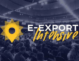  Навчальний практикум E-Export Intensive для внутрішньо переміщених осіб, ветеранів війни, підприємців-початківців розпочати власну справу та навчитись експортувати.