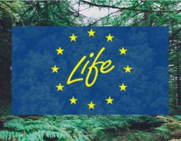 Європейська екологічна ініціатива відкриває нові можливості для України