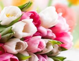 З нагоди Міжнародного дня боротьби за права жінок хочу висловити свою найщирішу повагу і вдячність всім жінкам, які стоять на передовій, а також тим, хто веде непримітну, але неймовірно важливу роботу в тилу.