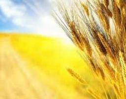 Запрошуємо відсвяткувати державні свята!