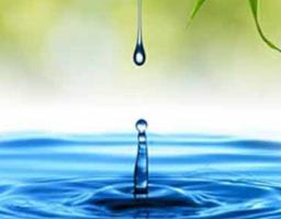 До уваги бажаючих отримати водні об'єкти в оренду у комплексі із земельною ділянкою на конкурсних засадах (земельних торгах)