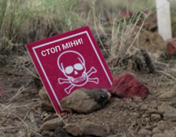 «ХАЛО Траст» пропонує нову кар’єру в авторитетній міжнародній організації, яка допомагає населенню, постраждалому від війни
