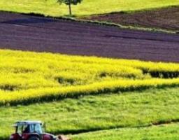 Щодо обміну земельними ділянками сільськогосподарського призначення