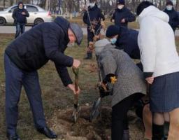 Працівники райдержадміністрації долучилися до екологічної акції в рамках проєкту Президента України «Зелена країна»