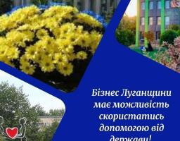 Бізнес Луганщини має можливість скористатись допомогою від держави