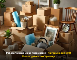 Робота та нове місце проживання: підтримка для ВПО Нижньодуванської громади