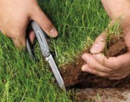 Відповідальність за самовільне зайняття земельної ділянки