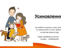 Усиновлення – це не лише юридична процедура, а й важливий крок до створення для дитини безпечного та люблячого середовища