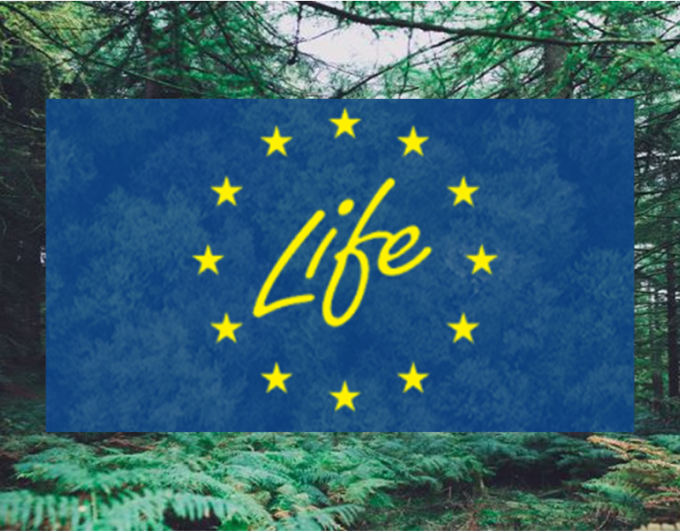 Європейська екологічна ініціатива відкриває нові можливості для України